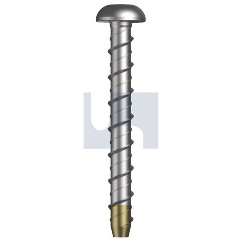 Bimetal-Stainless Grade 316 E1F X-Screwbolt Dome M6X80