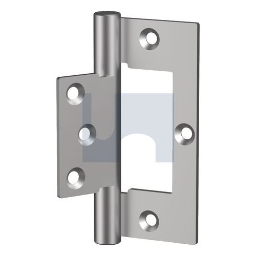 Stainless Grade 304 Hinge Flush Pair 100