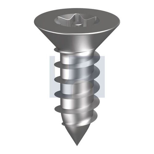 Stainless Grade 304 Post Torx T10 Csk STS 6X3/4