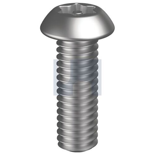 Stainless Grade 304 Post Torx T10 Button MTS M3X6