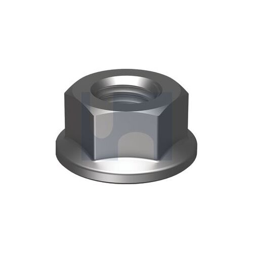 Plain Class 10 Flange Nut M24