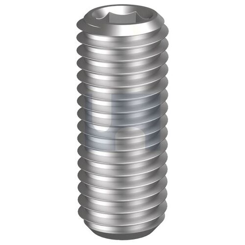 Stainless Grade 304 Socket Grub Screw 10-24UNCx3/16