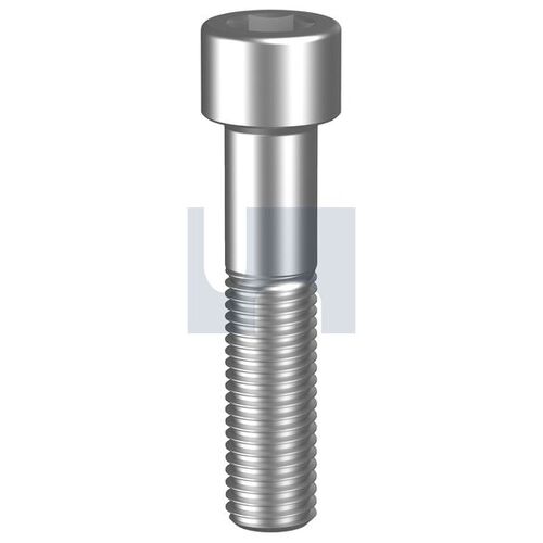 Stainless Grade 304 Socket Cap Screw 2-56UNCx3/16