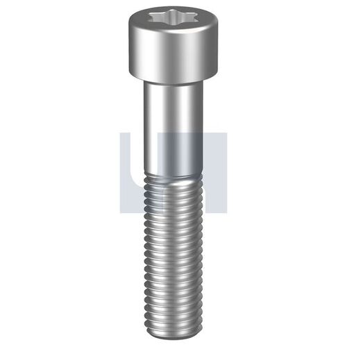 Stainless Grade 304 Iso 14579 Socket Torx Cap Screw T10 M3X6