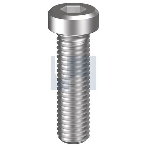 Stainless Grade 304 Din 7984 Socket Low Head Cap Screw M6X12