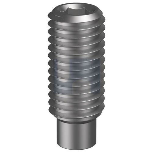 Plain Socket Grub Screw Dog Point M5X12