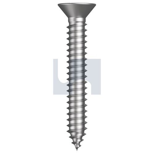 Stainless Grade 304 STS Csk Phillips 06X1-1/4