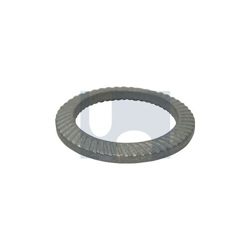 Schnorr Zinc Safety Washer M02X4