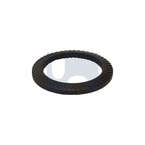 Schnorr Plain Vs Safety Washer M05X9